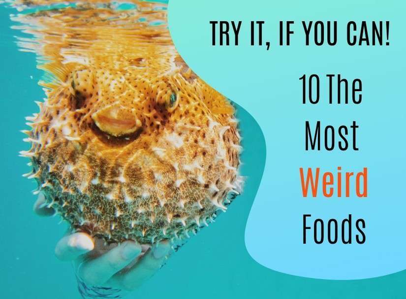 Try It, If You Can! 10 The Most Weird Foods