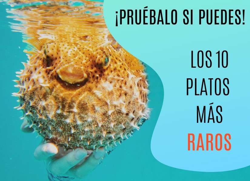 ¡Pruébalo si puedes! Los 10 platos más raros