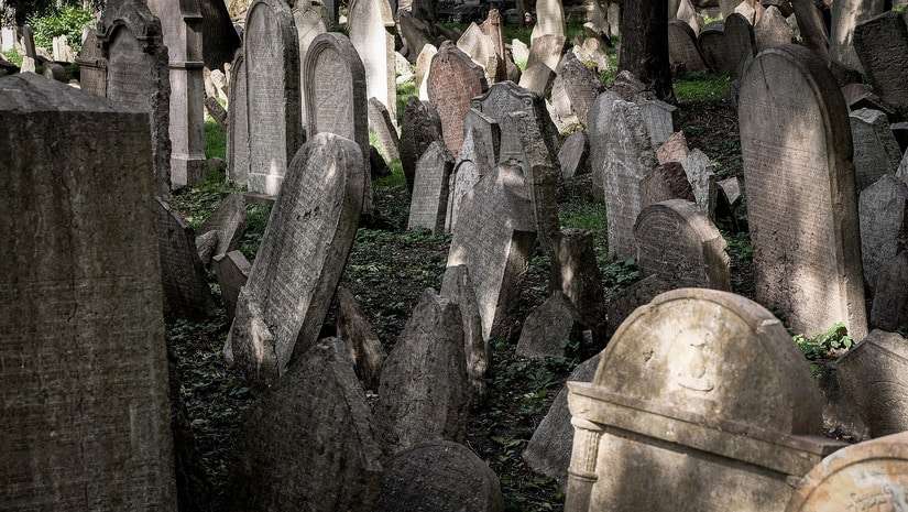 ¡La muerte de los idiomas! ¿Un idioma puede convertirse en una especie “en riesgo de extinción”?